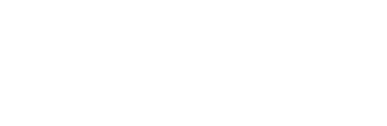 World Performance Group